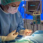 Lemmikin leikkaukset